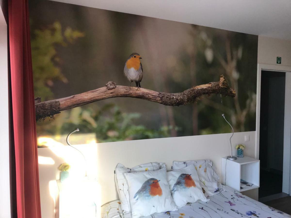 Chillann Bed & Breakfast Denderleeuw Ngoại thất bức ảnh